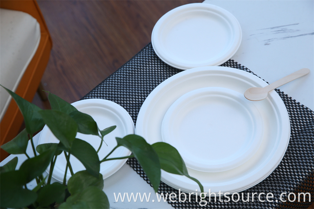 Biodegradable paper plate